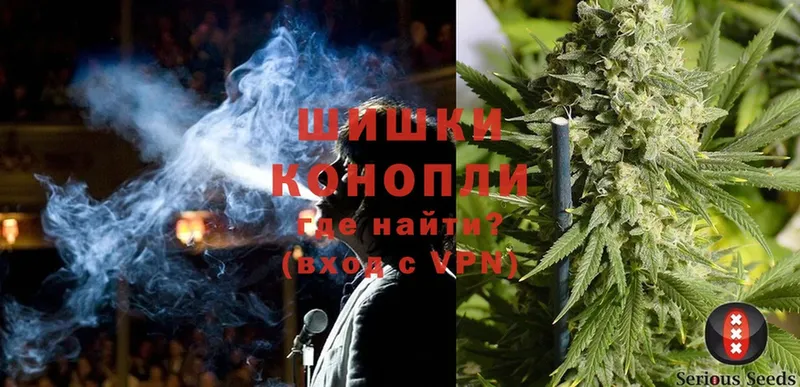 Бошки марихуана Bruce Banner  наркота  Камышлов 